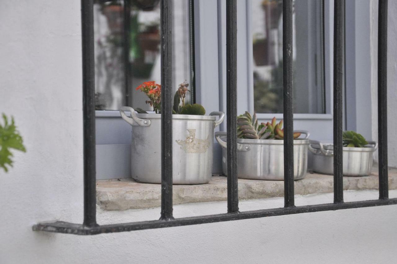 Vivienda Turistica De Alojamiento Rural Silla Vieja 11 Vejer de la Frontera Kültér fotó
